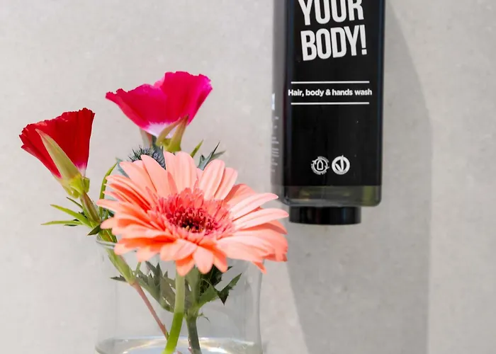 Hotel Ibis Styles Scheveningen 3*