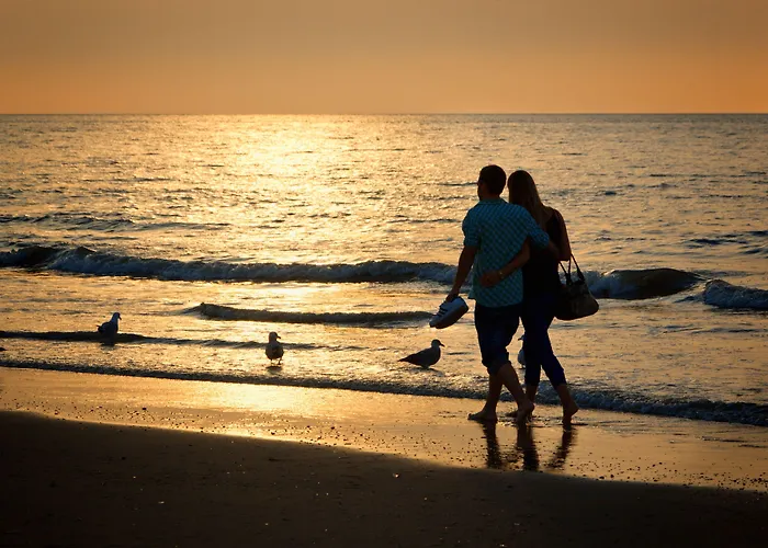 Ibis Styles Scheveningen מלון