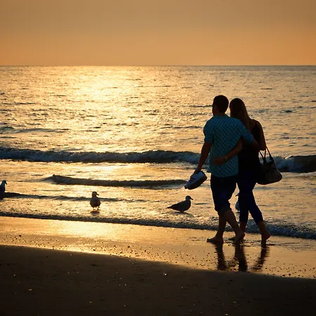 Ibis Styles Scheveningen فندق